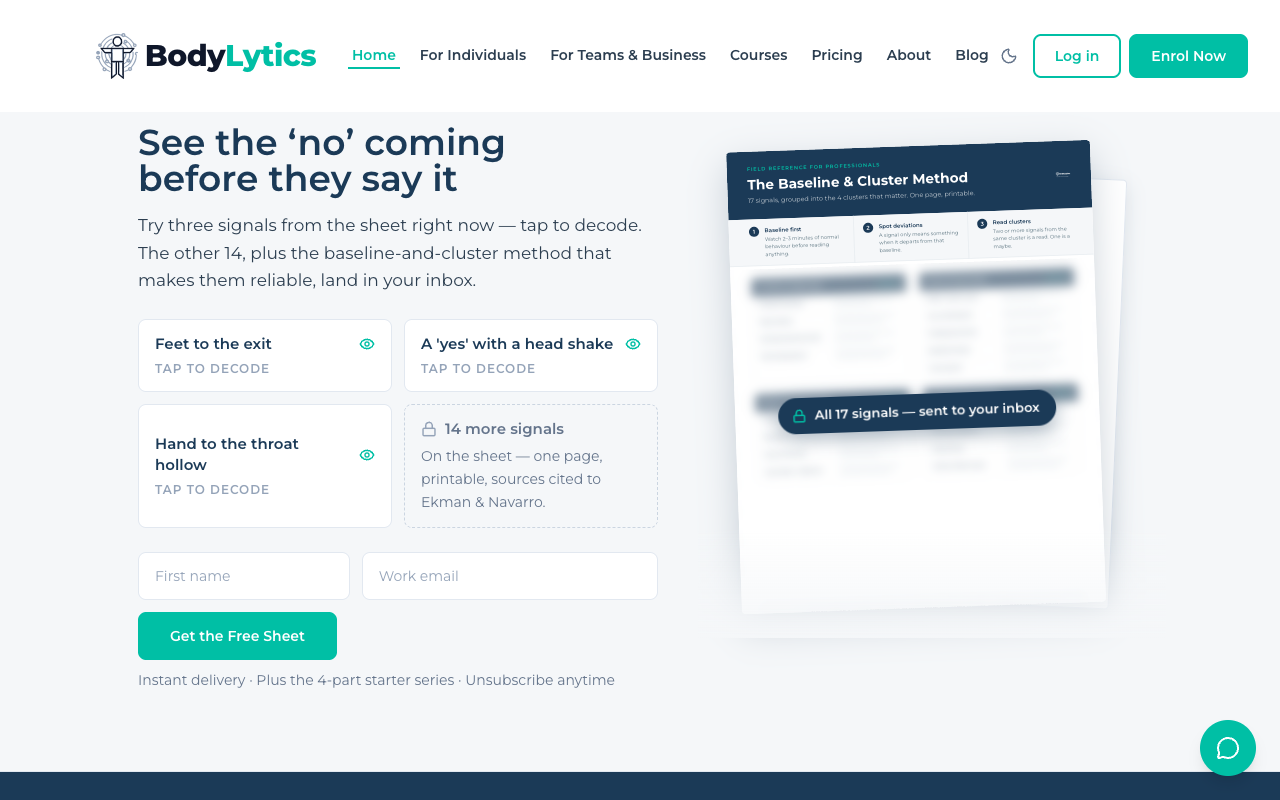 Screenshot: Cheat sheet opt-in section on the homepage